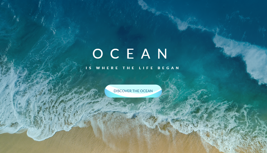 Ocean Web Site
